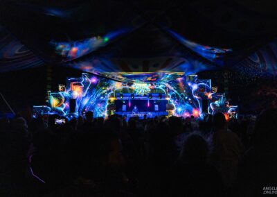 Rootbound Festival